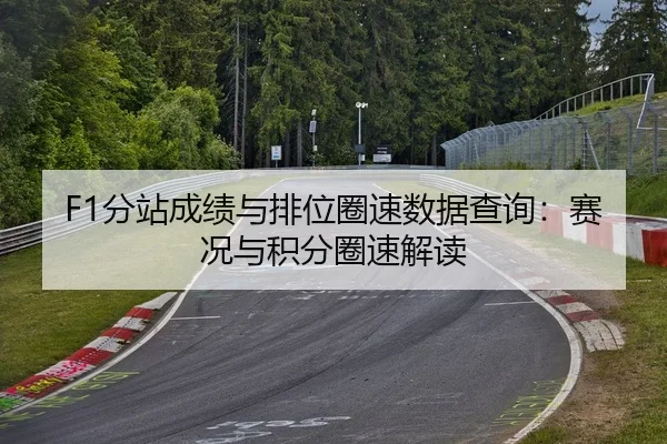 F1分站成绩与排位圈速数据查询：赛况与积分圈速解读